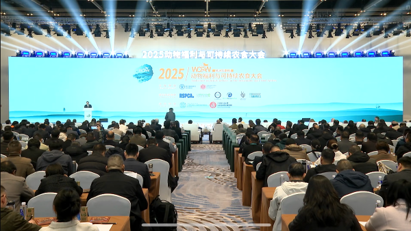 2025动物福利与可持续农食大会-北京速记