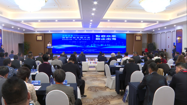 2025首都侨智发展大会-北京速记