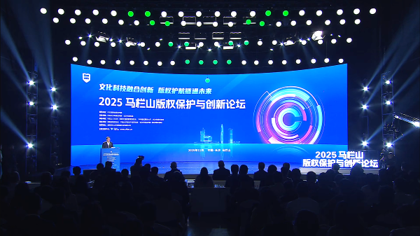 2025 马栏山版权保护与创新论坛-长沙速记